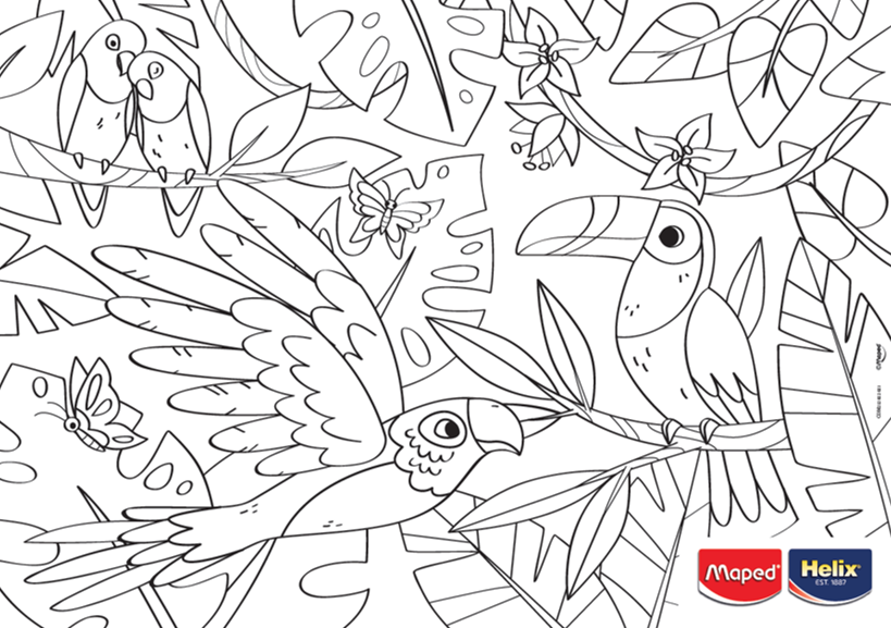 A colouring sheet showing two toucans in a jungle