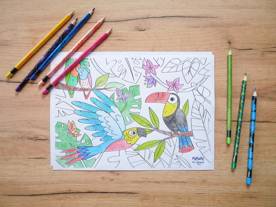 a drawing of two toucans in the jungle surrounded by colouring pencils