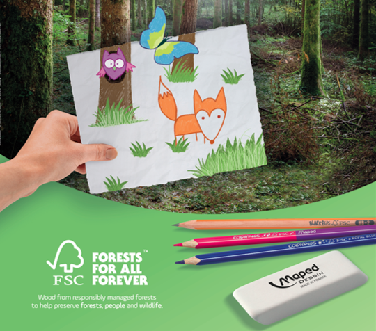 FSC logo with a drawing trees and forest animals held up in front of a forest