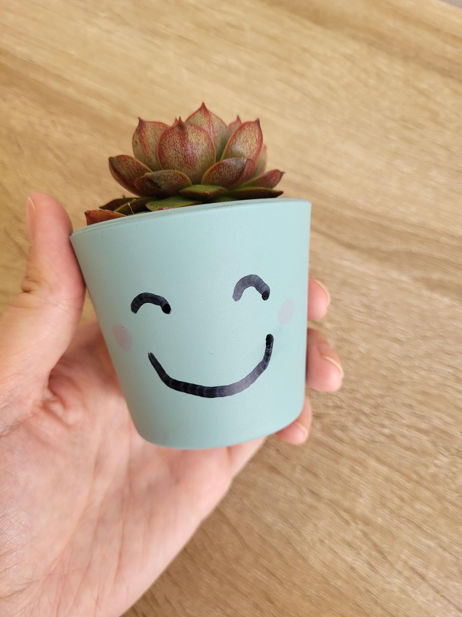 A hand holding a small succulent plant in a decorated pot
