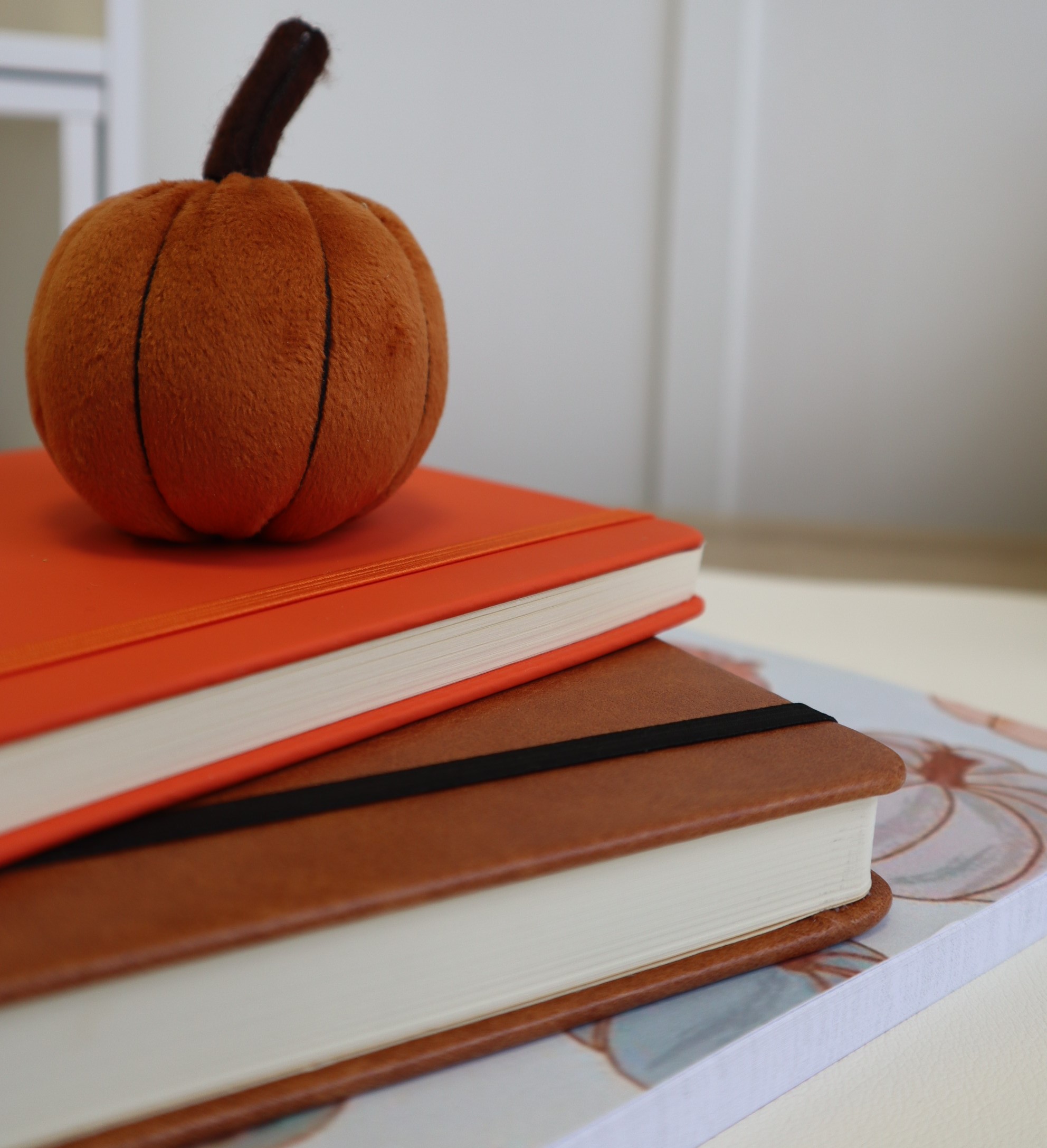 stacked autumnal notebooks and plush pumpkin