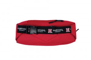 Harvard cross body bag back