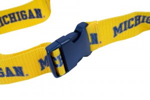 Michigan Cross Body Bag strap